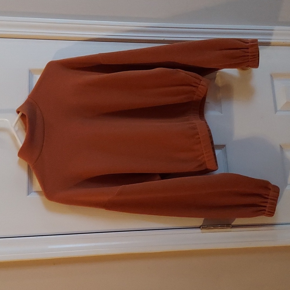 Elodie Cropped Ribbed Turtleneck by Anthropologie SMALL Cognac LIKE NEW!